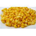 Chinese Frozen Corn Niblet/Yellow Baby Corn